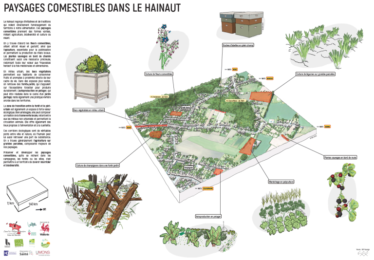 Paysages comestibles dans le Hainaut
